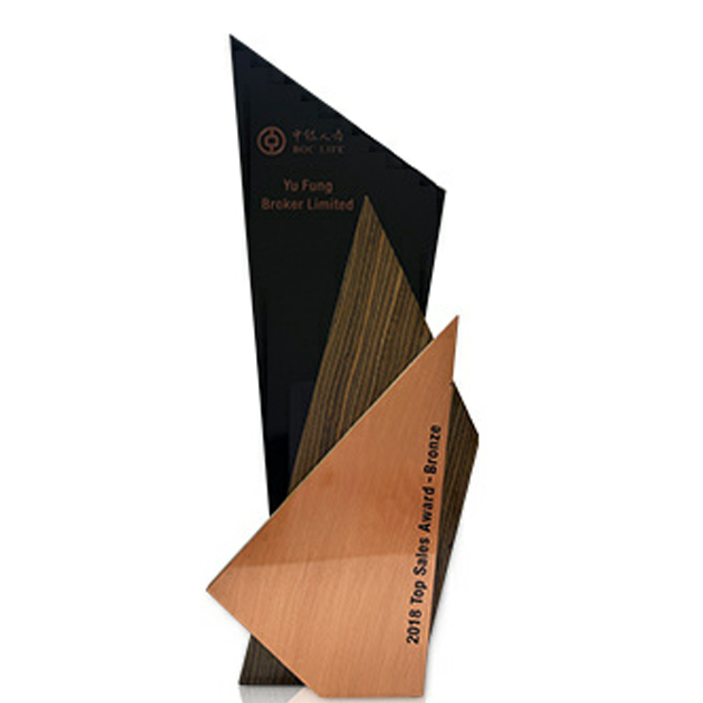 Top Sales Award-Bronze